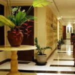 Cabos inclusive ekol albercas daytime resorts travelers westjet
