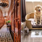 Rosewood retriever resident pearl